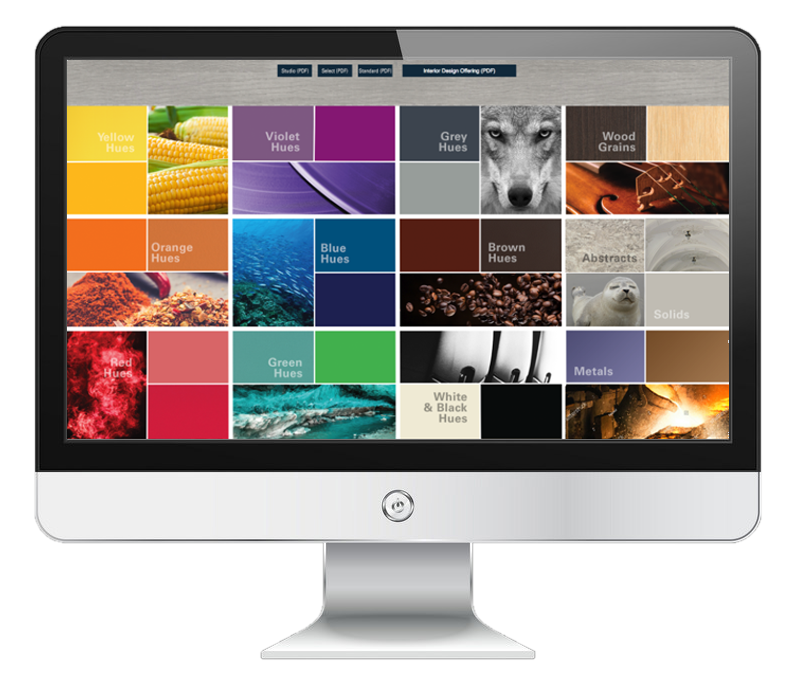 modern computer display with SW Website Screen WHITE BG